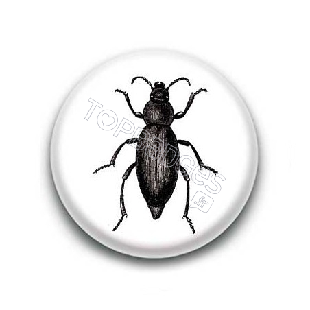 Badge Insecte