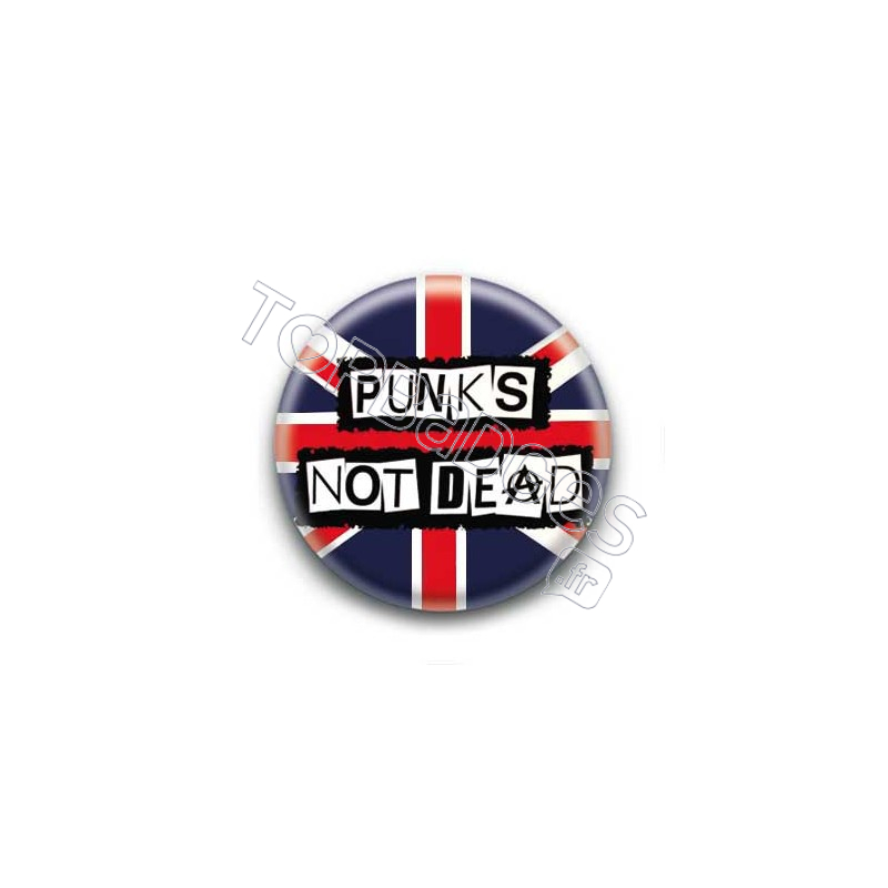 Badge Punks not Dead British