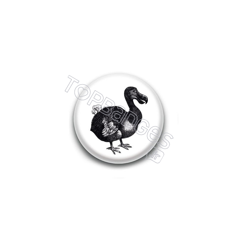 Badge Dodo