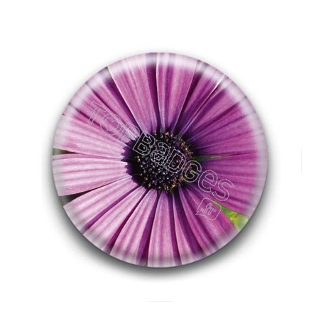 Badge Fleur Violette