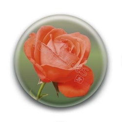 Badge Rose Orange