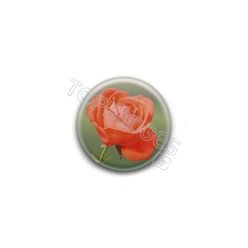 Badge Rose Orange