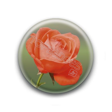 Badge Rose Orange