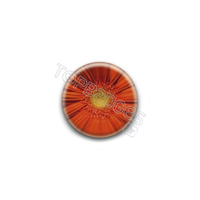 Badge Fleur Orange