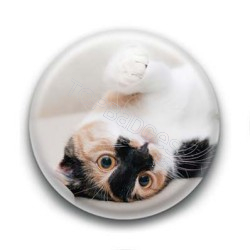 Badge Chat Tâcheté