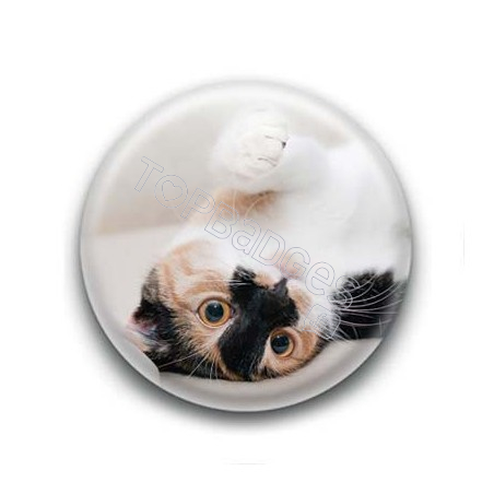 Badge Chat Tâcheté