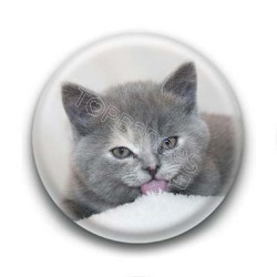 Badge Chat Gris