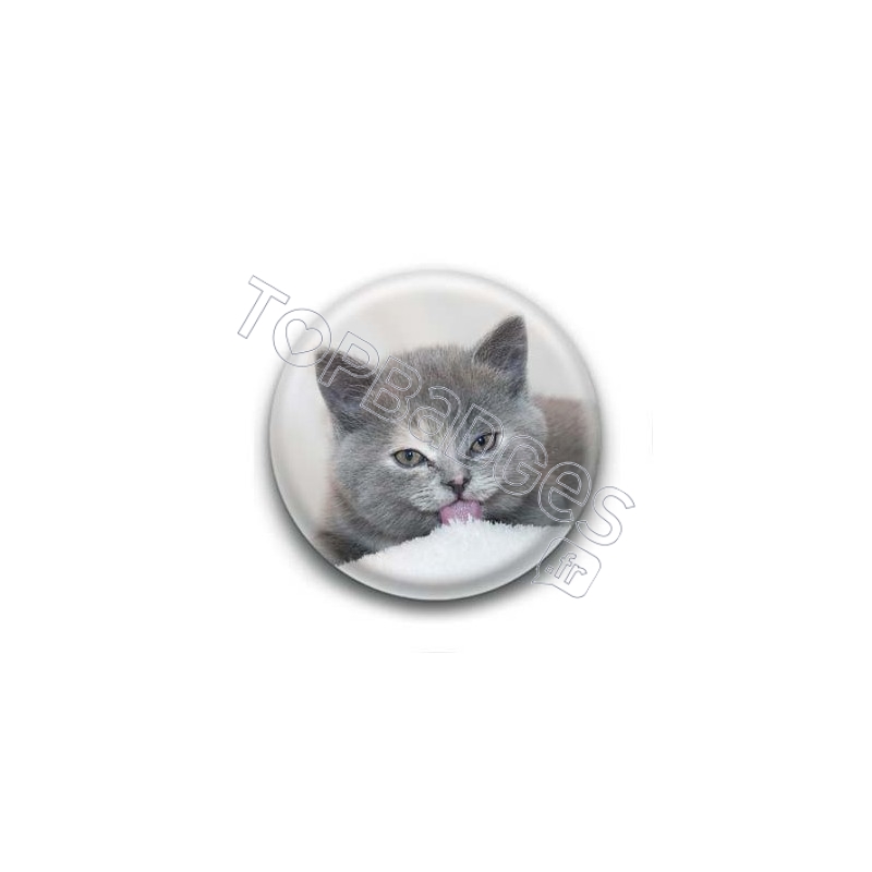 Badge Chat Gris