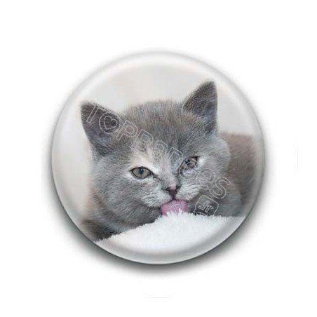 Badge Chat Gris