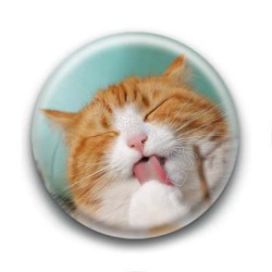 Badge Chat se léchant la patte