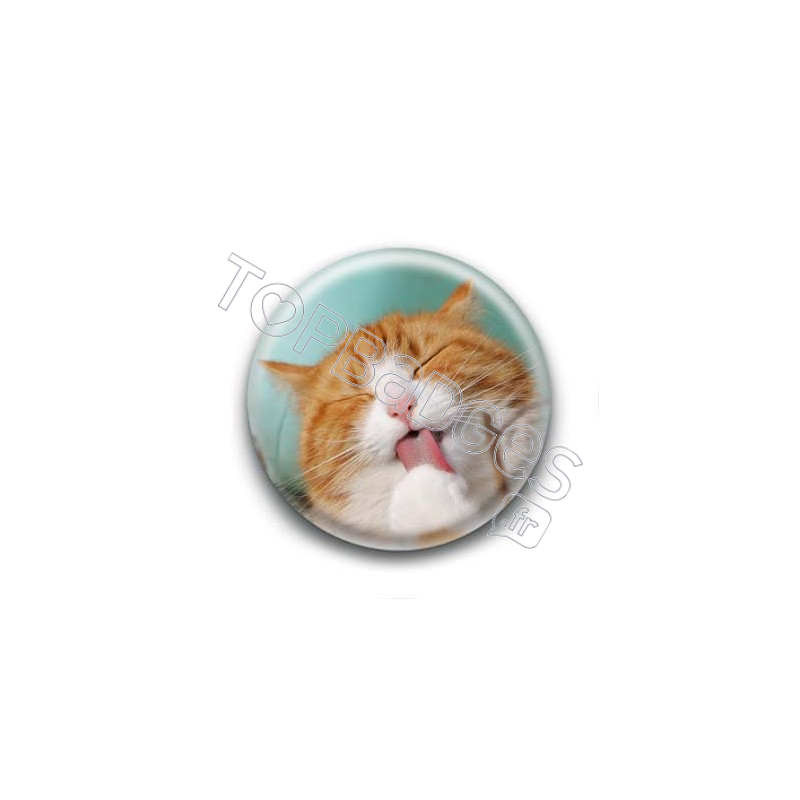 Badge Chat se léchant la patte