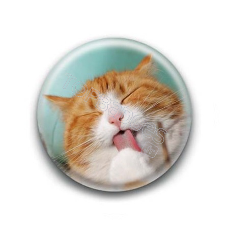 Badge Chat se léchant la patte