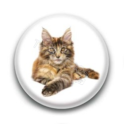 Badge Chat Maine Coon