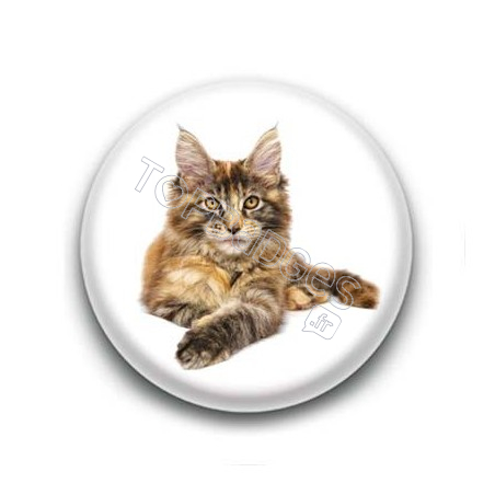 Badge Chat Maine Coon