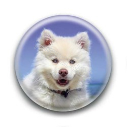 Badge Chien Blanc