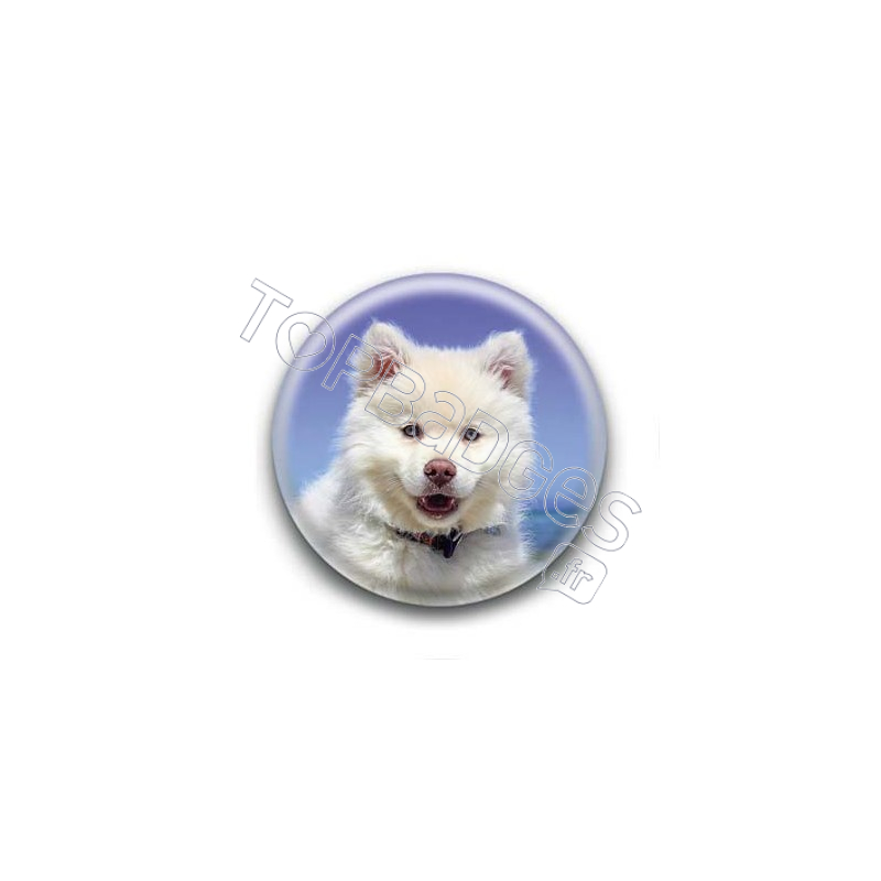 Badge Chien Blanc