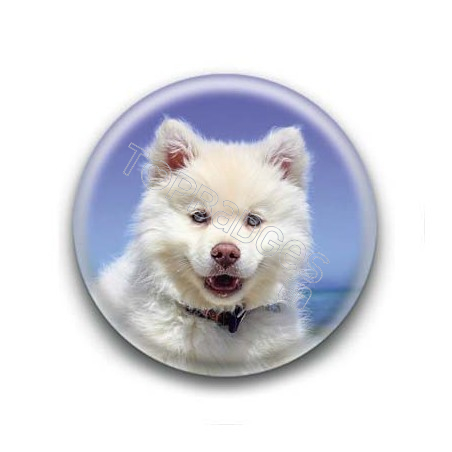 Badge Chien Blanc