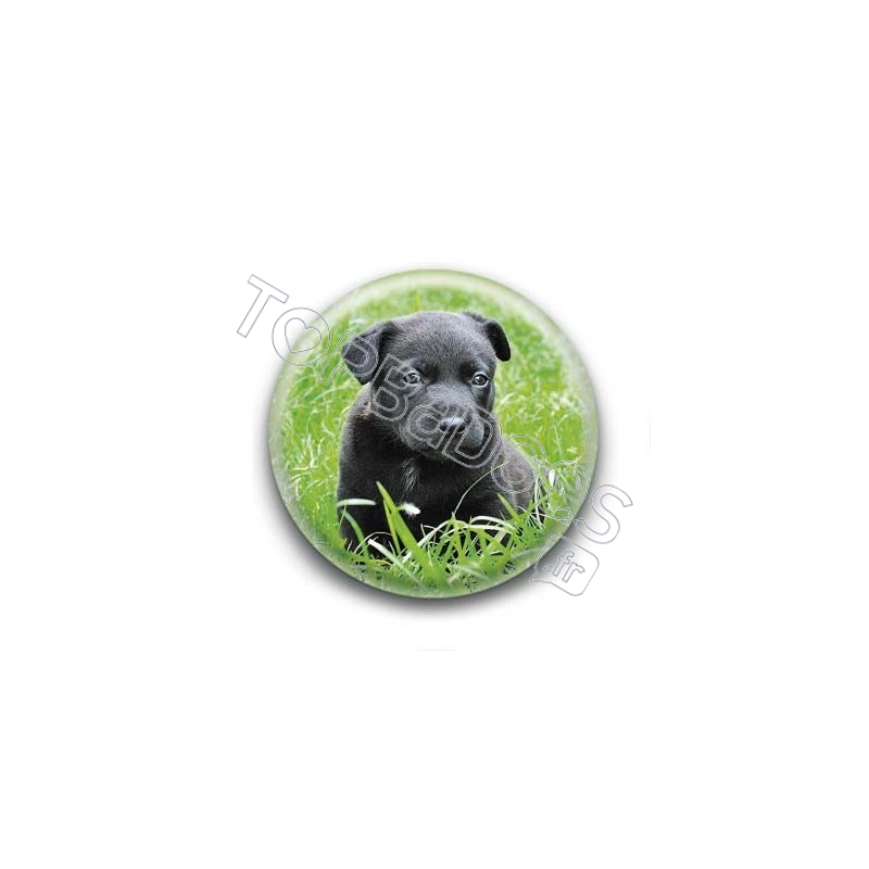Badge Bébé Labrador