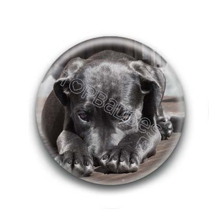 Badge Chiot Labrador