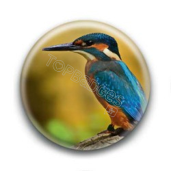 Badge Oiseau Martin-Pêcheur