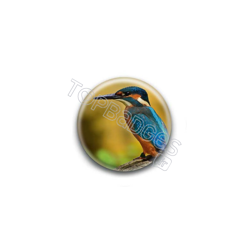 Badge Oiseau Martin-Pêcheur