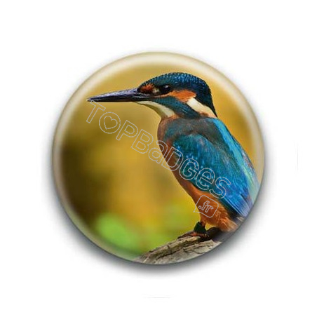 Badge Oiseau Martin-Pêcheur