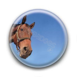 Badge Tête de Cheval