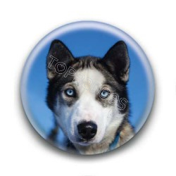 Badge Husky