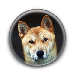 Badge Shiba Inu