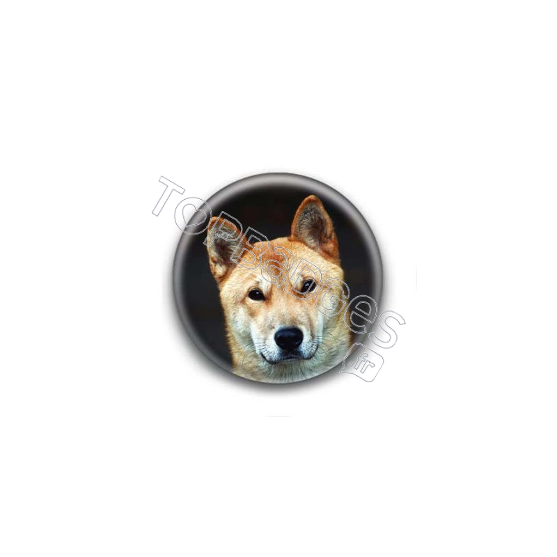 Badge Shiba Inu