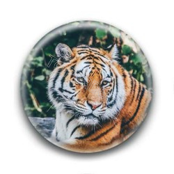 Badge Tigre