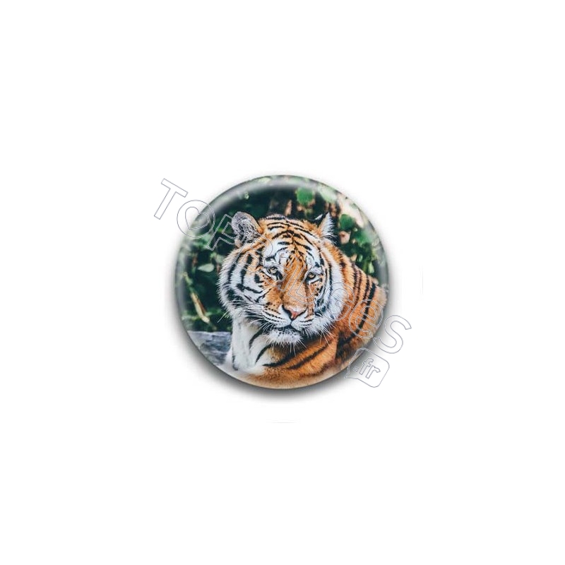 Badge Tigre