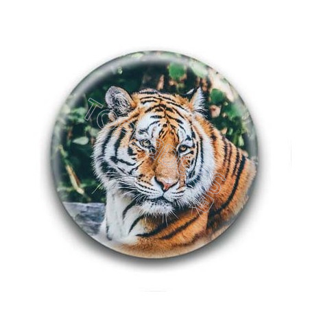 Badge Tigre