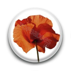 Badge Coquelicot