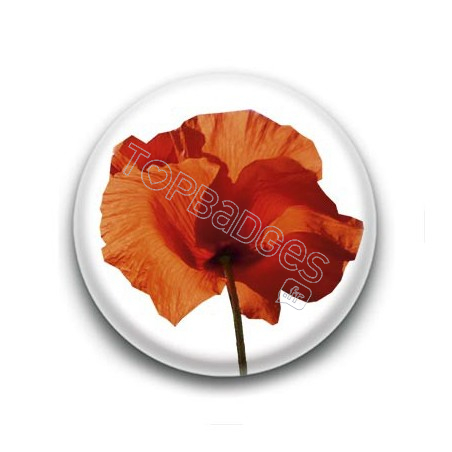 Badge Coquelicot