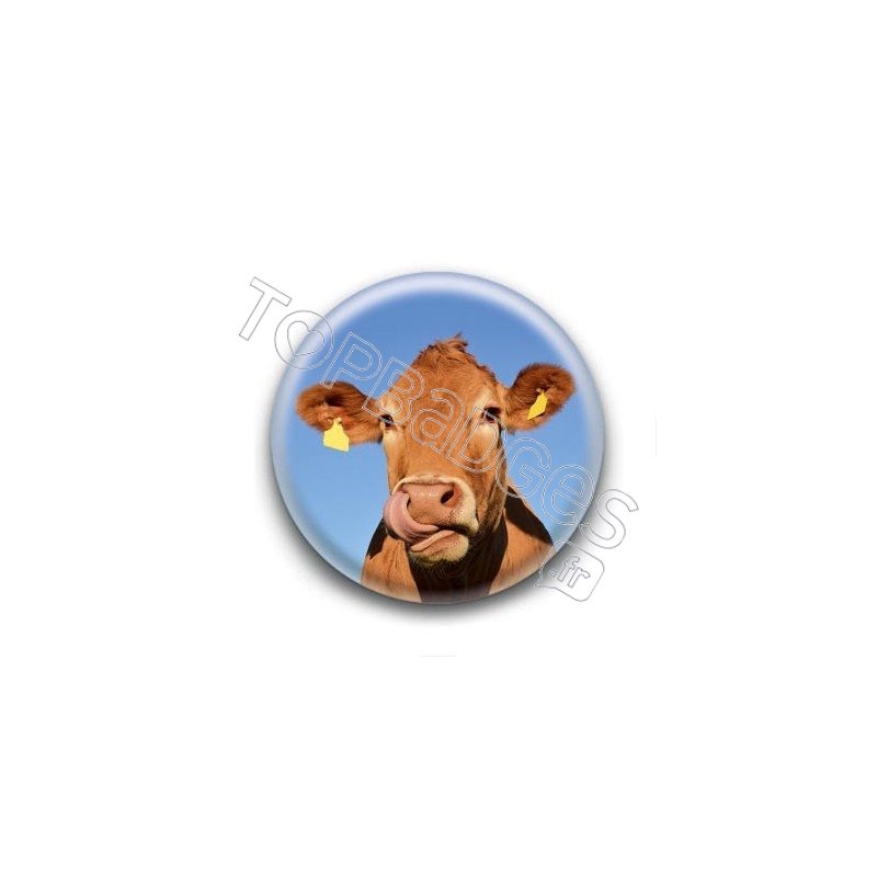Badge Vache tirant la langue
