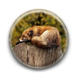 Badge : Renard endormi