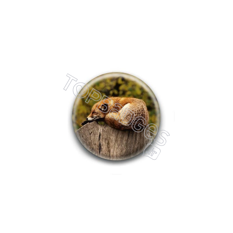 Badge : Renard endormi