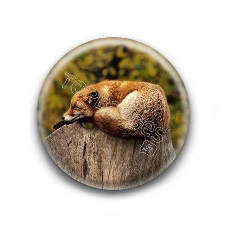 Badge : Renard endormi