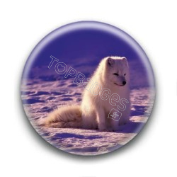 Badge : Renard des neiges