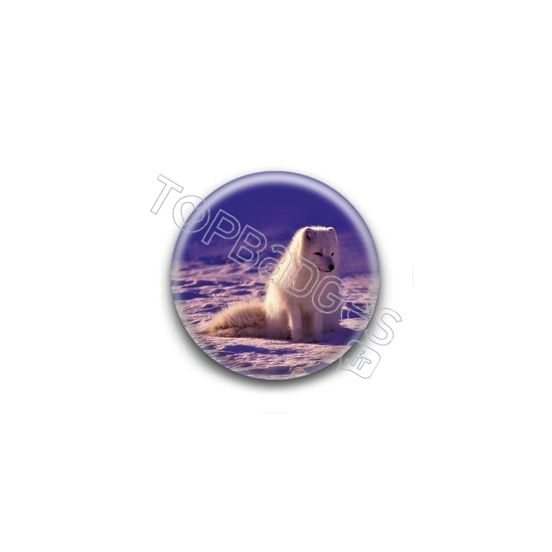 Badge : Renard des neiges