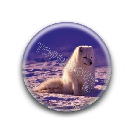 Badge : Renard des neiges