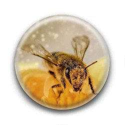 Badge Abeille