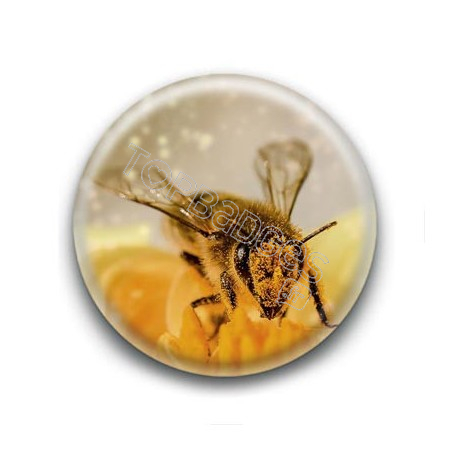 Badge Abeille