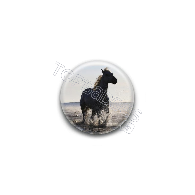 Badge Cheval dans la mer