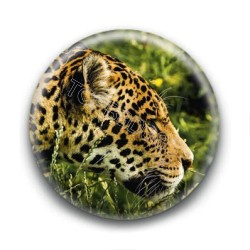 Badge Jaguar