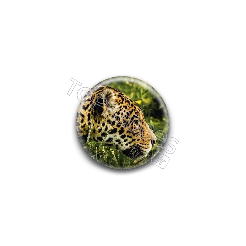 Badge Jaguar