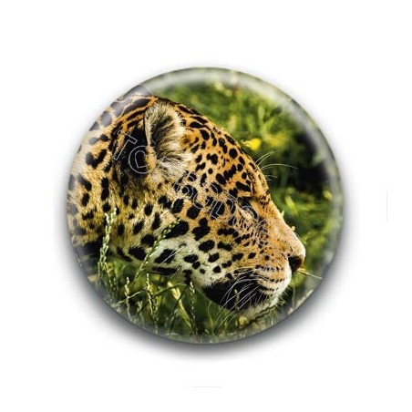 Badge Jaguar