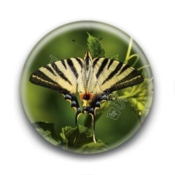Badge Papillon