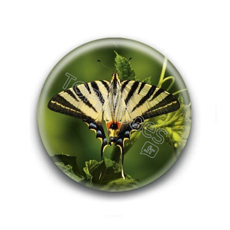 Badge Papillon